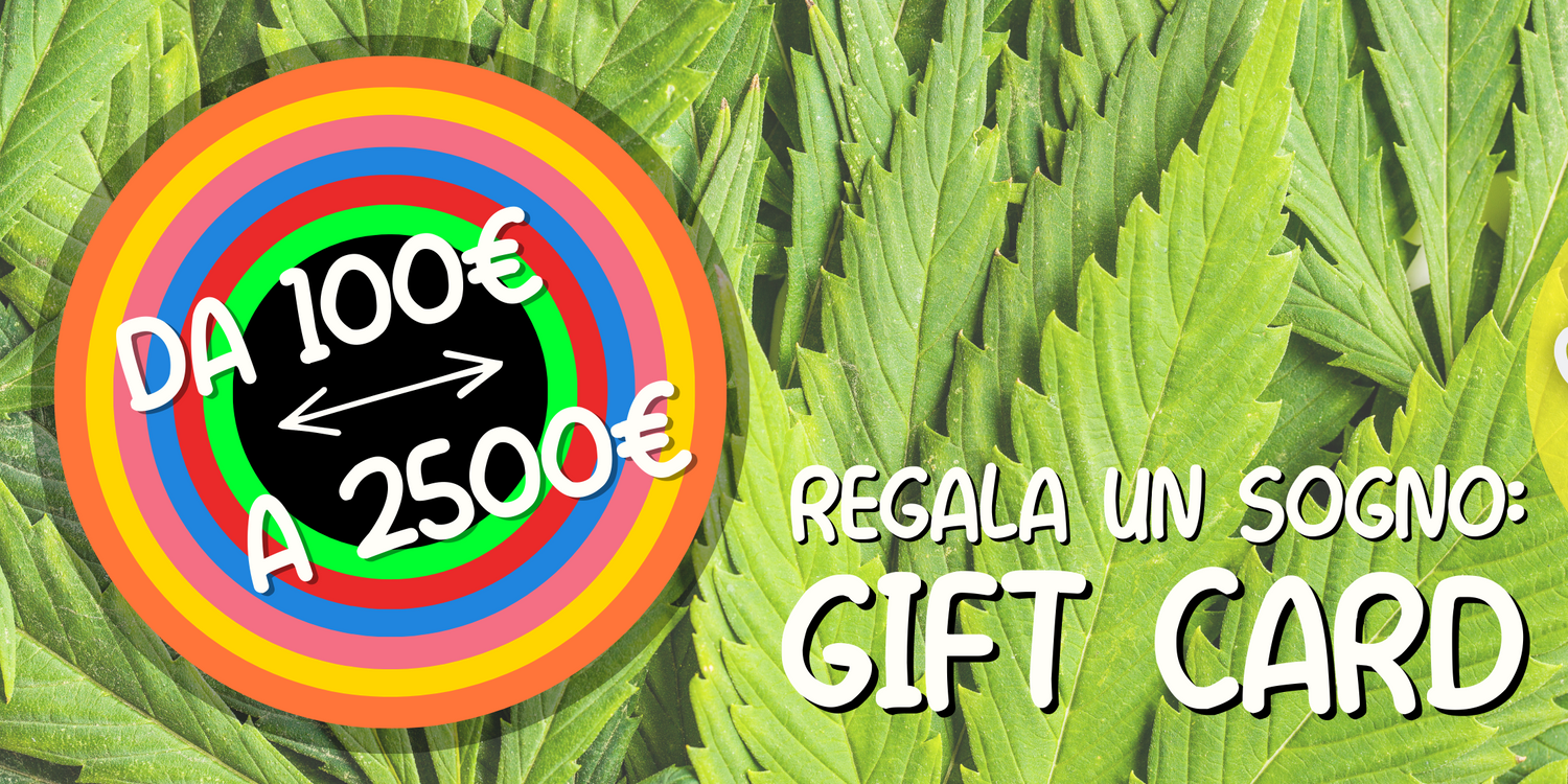 Flyinhigh.it: Tutte le nostre Gift Card per viaggi 4/20 friendly!