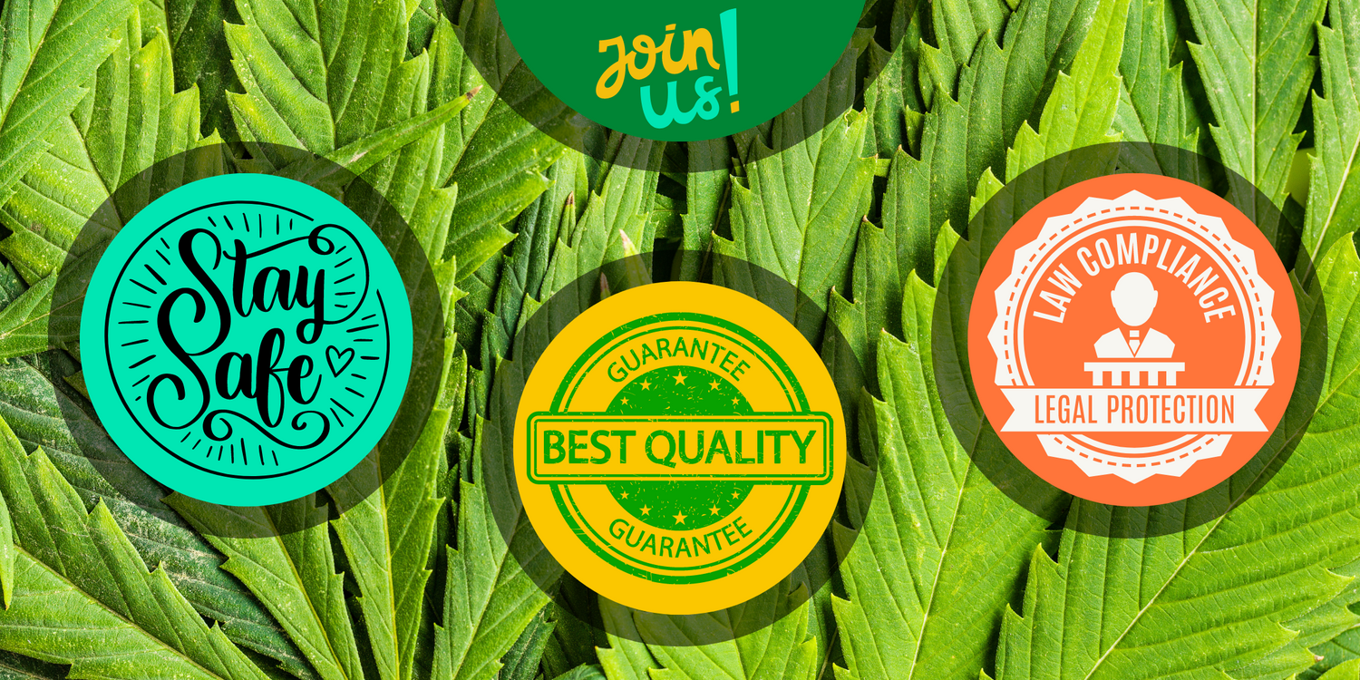 Flyinhigh.it: il primo cannabis tour operator italiano www.flyinhigh.it - Viaggi di gruppo a tema cannabis - Vacanze cannabis - Visita paesi dove la cannabis è legale