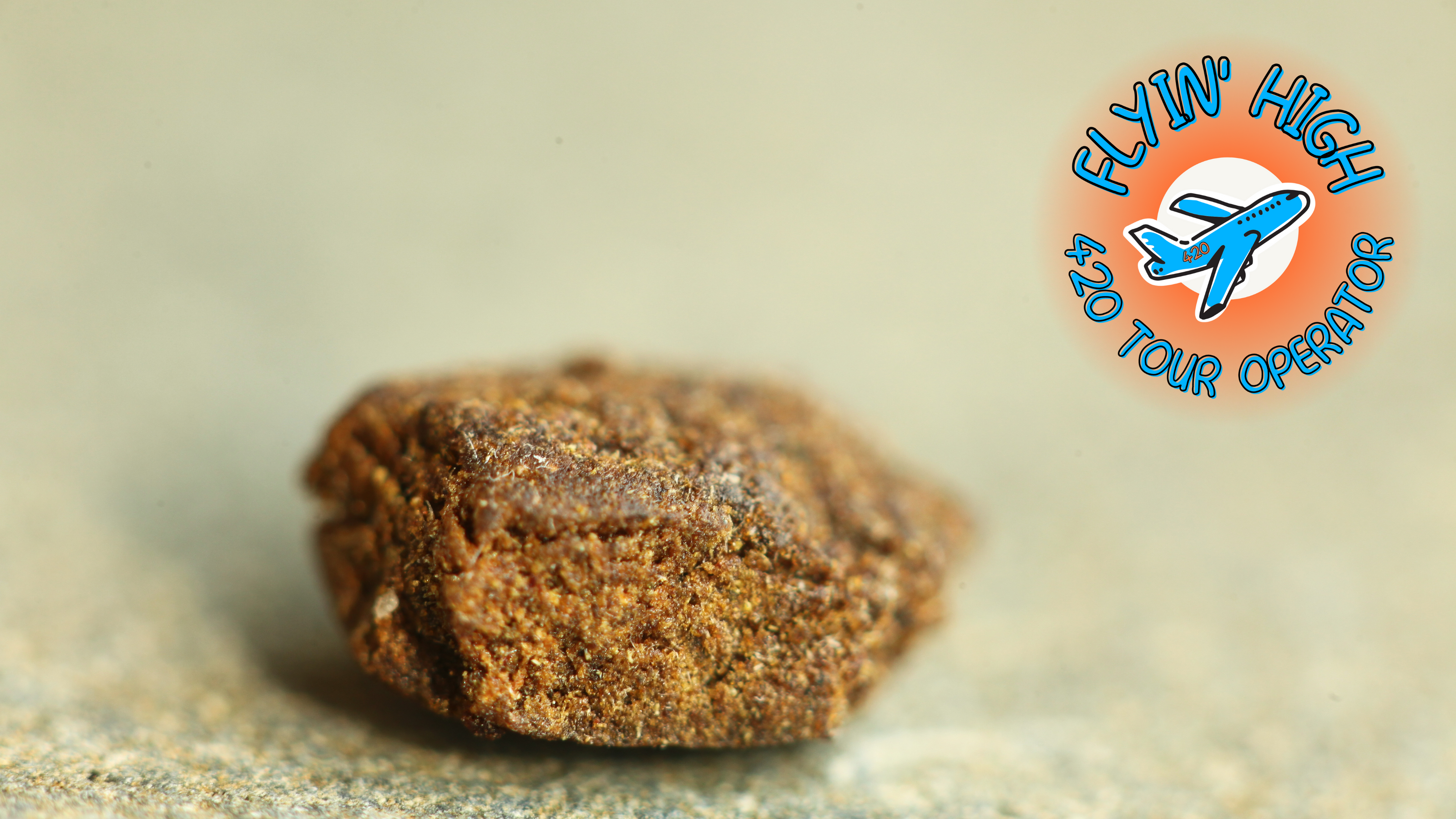 Flyinhigh.it: il primo cannabis tour operator italiano - viaggi di gruppo organizzati e tour on the road 4/20 friendly