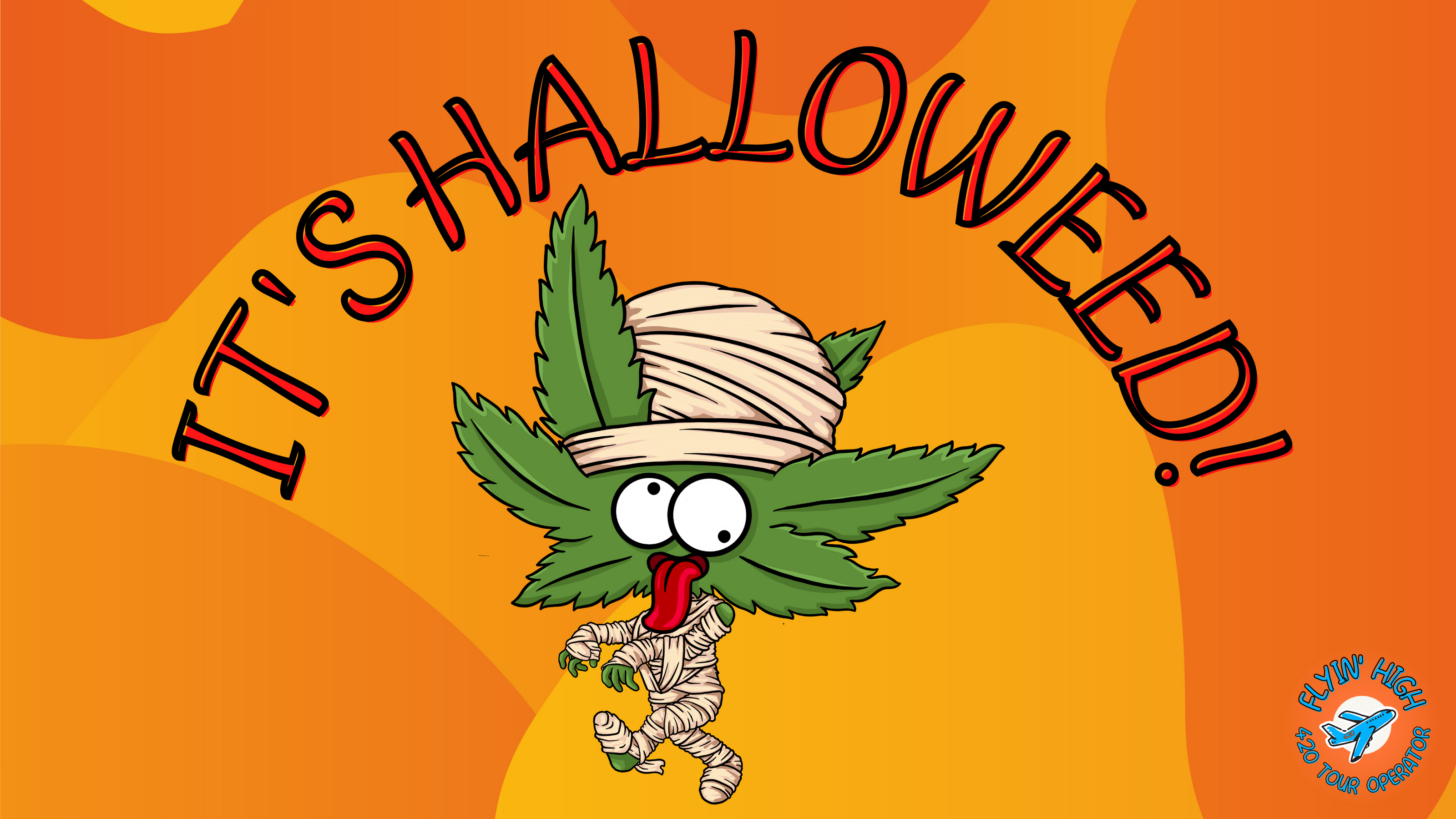 Flyinhigh.it: il primo cannabis tour operator italiano - viaggi di gruppo organizzati e tour on the road 4/20 friendly