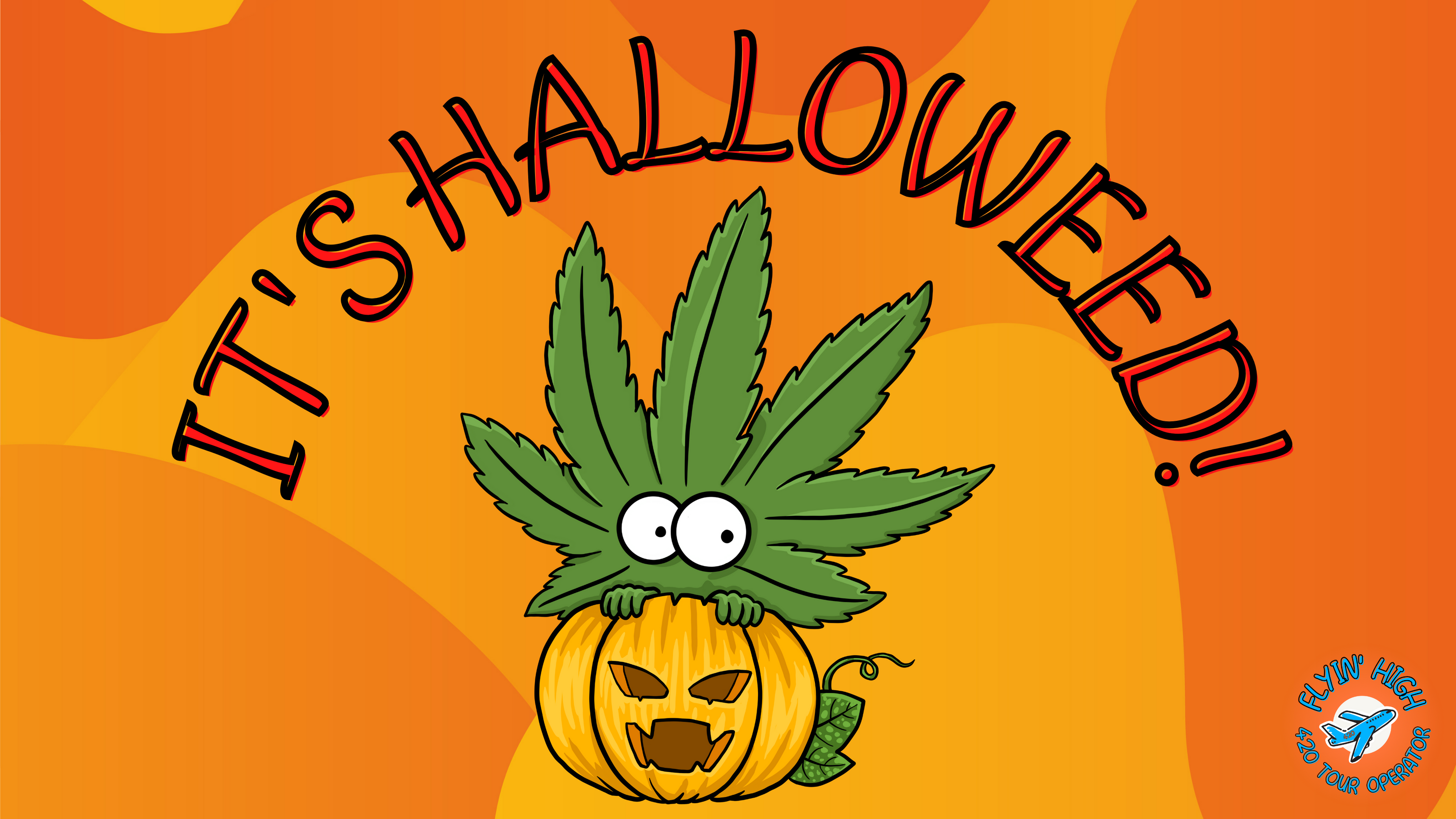 Flyinhigh.it: il primo cannabis tour operator italiano - viaggi di gruppo organizzati e tour on the road 4/20 friendly