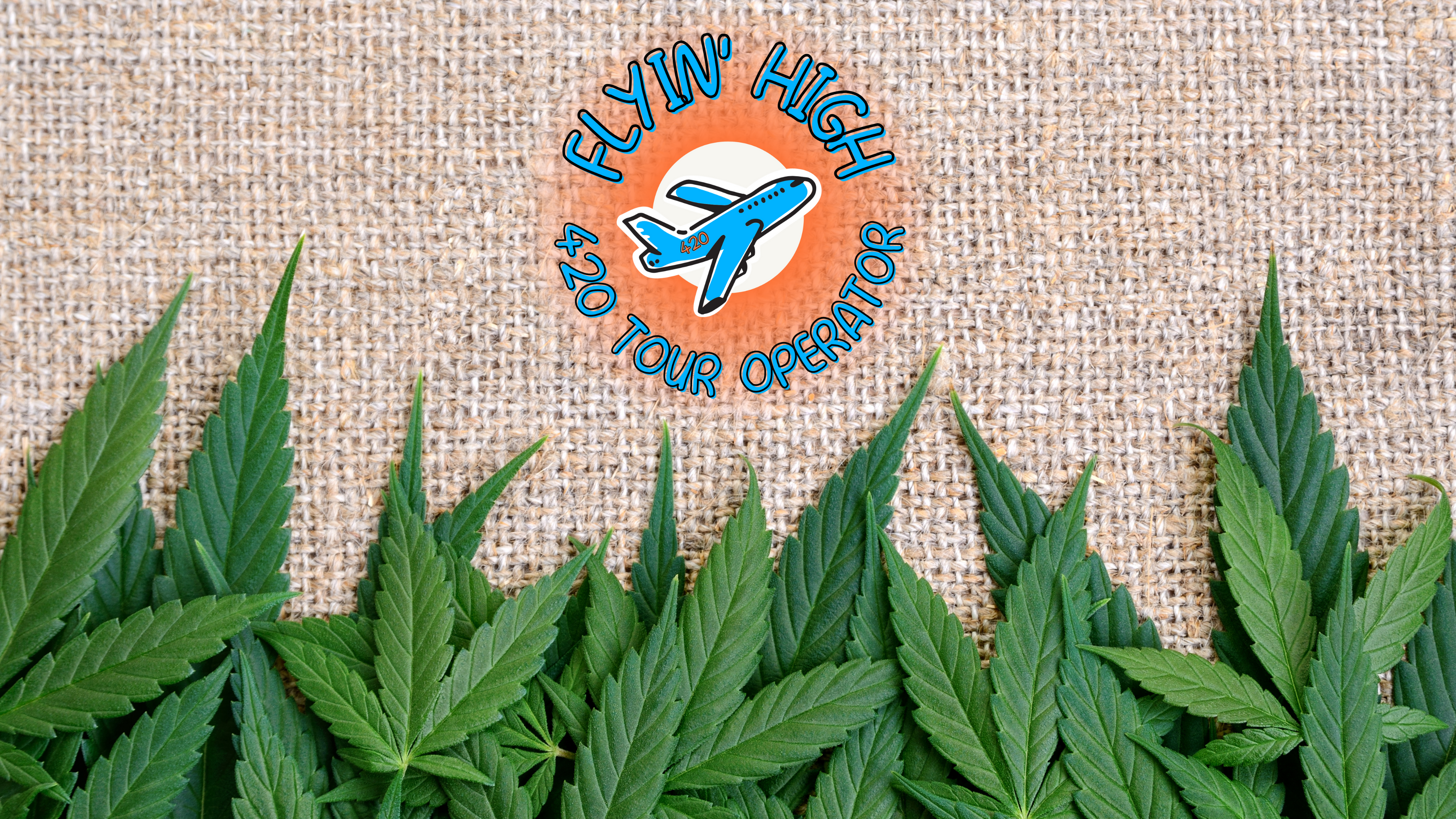 Flyinhigh.it: il primo cannabis tour operator italiano - viaggi di gruppo organizzati e tour on the road 4/20 friendly