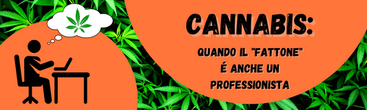 Cannabis e lavoro: è un connubio fattibile?