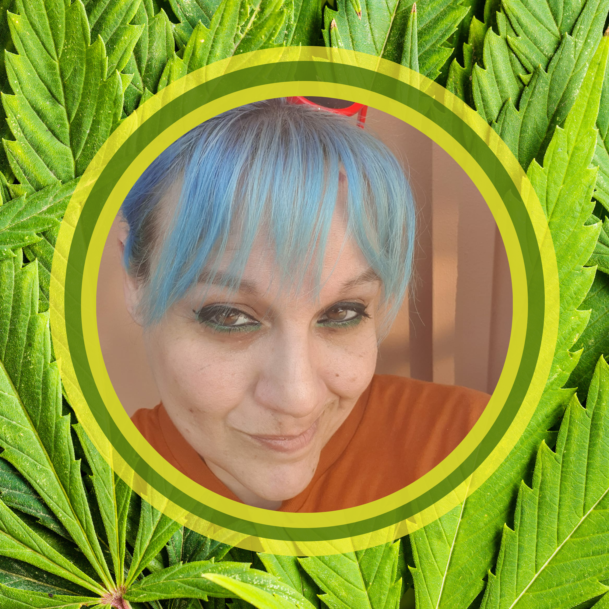 Flyinhigh.it: il primo cannabis tour operator italiano - viaggi di gruppo organizzati e tour on the road 4/20 friendly