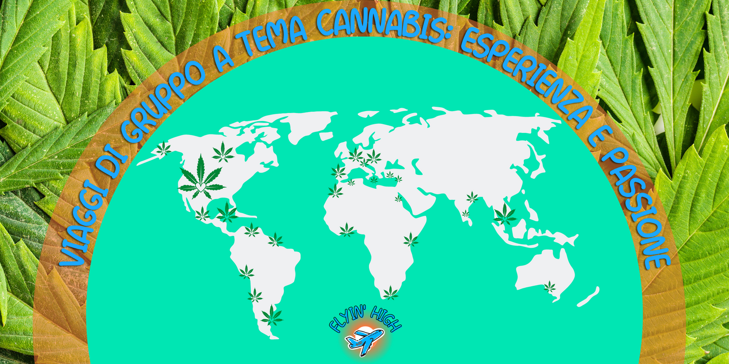 Flyinhigh.it: il primo cannabis tour operator italiano www.flyinhigh.it - Viaggi di gruppo a tema cannabis - Vacanze cannabis - Visita paesi dove la cannabis è legale