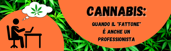 Flyinhigh.it: il primo cannabis tour operator italiano www.flyinhigh.it - Viaggi di gruppo a tema cannabis - Vacanze cannabis - Visita paesi dove la cannabis è legale