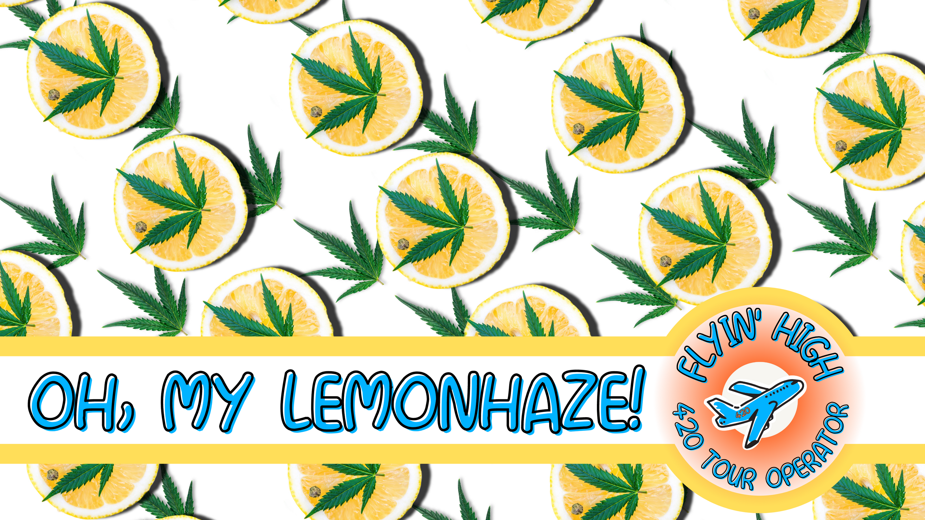 Flyinhigh.it: il primo cannabis tour operator italiano - viaggi di gruppo organizzati e tour on the road 4/20 friendly