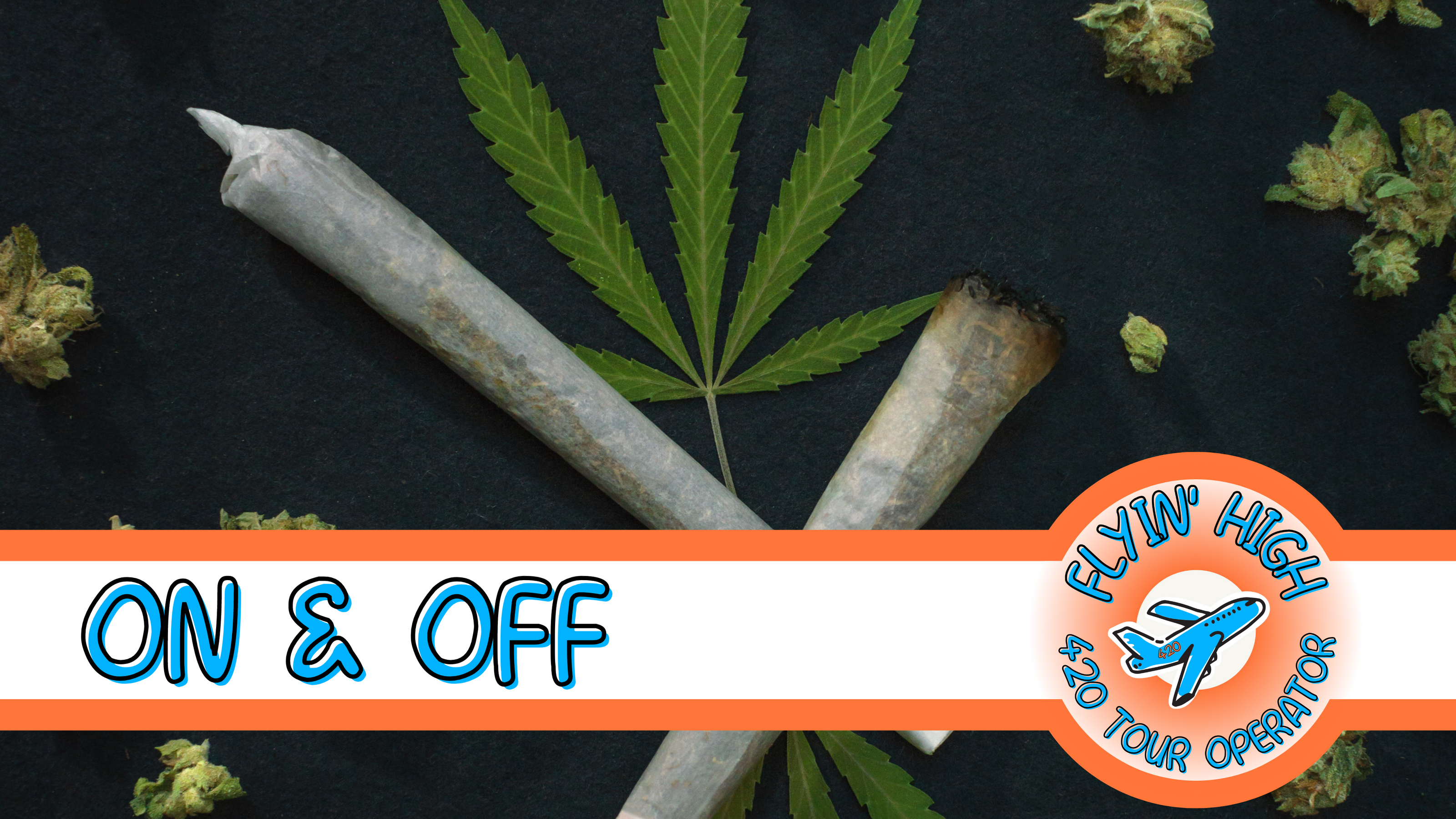 Flyinhigh.it: il primo cannabis tour operator italiano - viaggi di gruppo organizzati e tour on the road 4/20 friendly