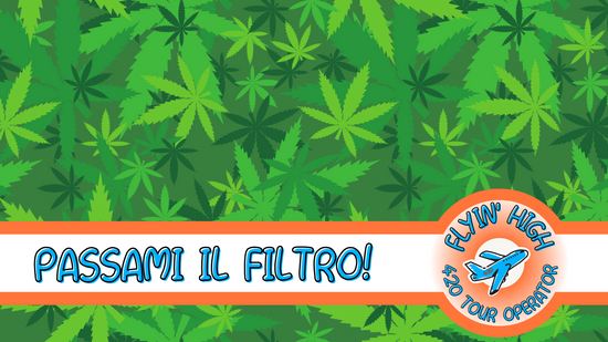 Flyinhigh.it: il primo cannabis tour operator italiano - viaggi di gruppo organizzati e tour on the road 4/20 friendly