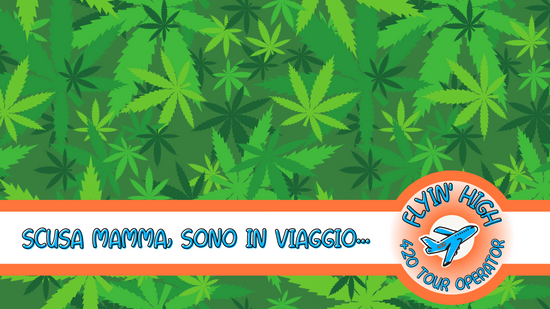 Flyinhigh.it: il primo cannabis tour operator italiano - viaggi di gruppo organizzati e tour on the road 4/20 friendly