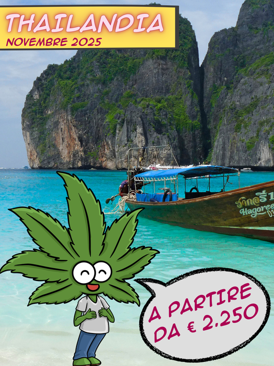 JAMAICA Capodanno 2025! | 27 Dic 2025-10 Gen 2026 - FlyinHigh.it (420 Friendly Tour Operator) (Copia)