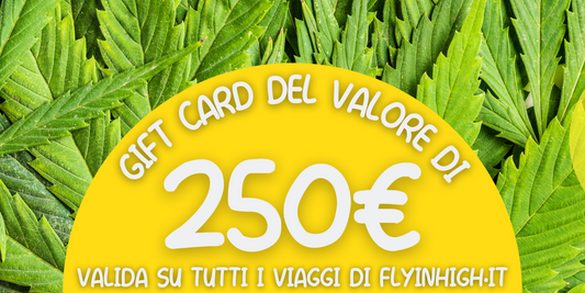 Gift card da 250€