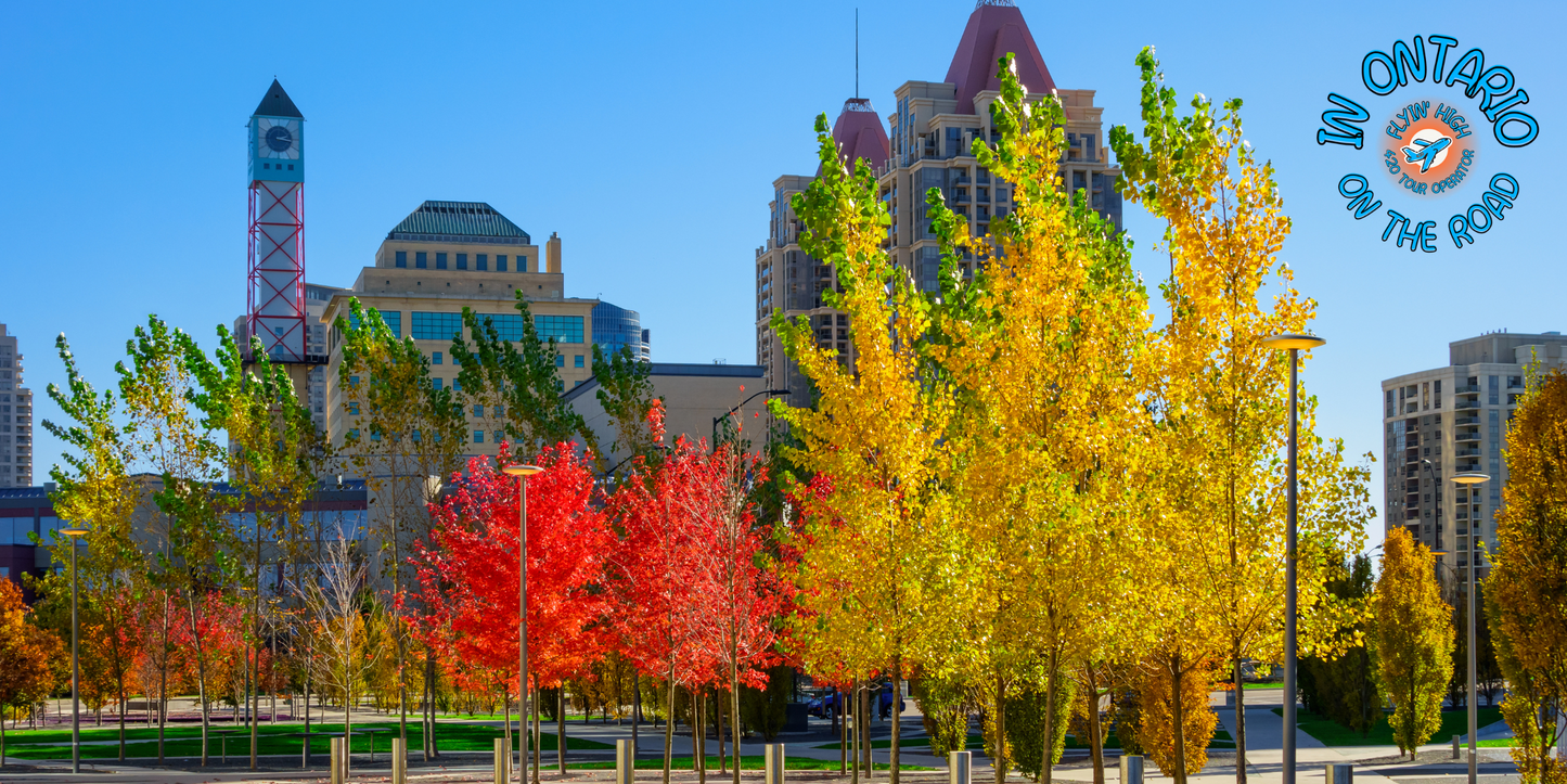 |  CANADA  | Tour dell'Ontario in stile 4/20 | ETÀ 19+ | Ottobre 2022 | Volo A/R da Bologna